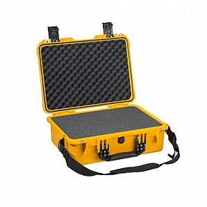 Transportkoffer für Instrumententräger