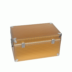 Maßgefertigter tragbarer Flightcase aus Aluminium