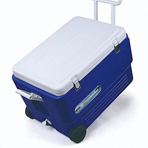 80L Kühlbox mit Trolley